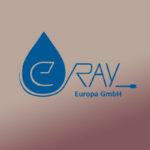 Das E-Ray Logo im Webseiten Stil